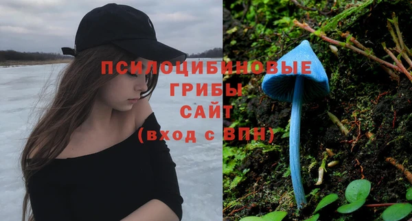 прущие крисы Нефтегорск