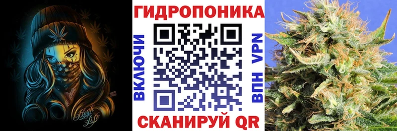 Бошки марихуана THC 21%  Мензелинск 